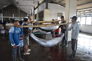 Total Rp7 Miliar, Bantuan DAK 2022 di DKP Parimo Naik