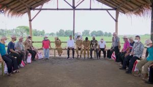Tinjau Penanaman Tebu di Mojokerto, Presiden: Varietas Baru Tunjukkan Hasil Luar Biasa