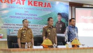 Kadis ESDM Dan Dishut Harap Pemda Beri Kemudahan Investor Dan Pelaku Usaha Berinvestasi Di Sulteng