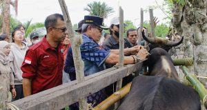 Cegah Penularan Virus PMK, Pemda Parigi Moutong Laksanakan Vaksinasi Hewan Ternak