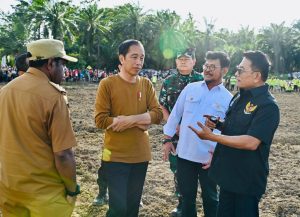 Harapan Petani Kabupaten Keerom terhadap Lumbung Pangan Jagung