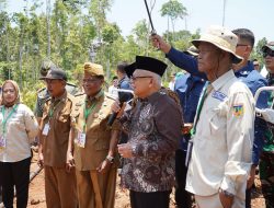 Wapres RI Resmikan Kawasan Pangan Nasional Di Sulteng