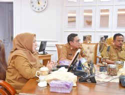 Wagub Sulteng Ikuti Rakornas Tindak Lanjut PP 6/2021 tentang Perizinan Berusaha di Daerah