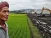 Pilih Emas atau Beras? Ketika Status Lumbung Beras Itu Terancam Hilang