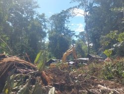 Bumi Sipayo “Dirobek” Pelaku PETI, Hutan Menangis, Negara Terkuras