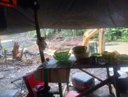 Kawasan Hutan Dihancurkan ! PETI di Perbatasan Parigi Moutong–Donggala Kembali Menggila