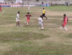 Mitra Muda dan Persito Torue Berbagi Angka di Harimau Baliara