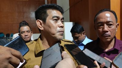 Erwin Burase Mencari Teduh di Tengah Ribut Pembangunan Perpustakaan