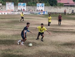 Ketika Tanduk Banteng Menjawab Auman Harimau di Baliara