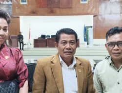 Beringin Menanti Nahkoda Baru di Parigi Moutong