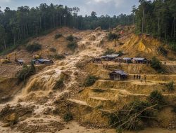 Dari Dulang ke Duka, Longsor Nasalane Akhiri Nyawa Dua Penambang