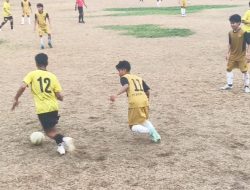 “Kerasnya Berlian di Sarang Harimau, Sebuah Catatan Strategi dan Kecepatan”