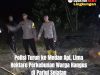 Polisi Turun ke Medan Api, Lima Hektare Perkebunan Warga Hangus di Parigi Selatan