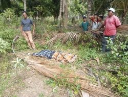 Polisi Selidiki Penemuan Jasad Pelajar SMP di Kebun Kelapa Desa Avolua