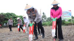Polres Parigi Moutong Tancap Gas, Sang Bhayangkara Turun ke Bumi Perkuat Swasembada Jagung