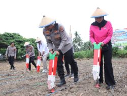 Polres Parigi Moutong Tancap Gas, Sang Bhayangkara Turun ke Bumi Perkuat Swasembada Jagung