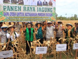 Wabup Parigi Moutong Hadiri Panen Raya Jagung di Desa Lobu Mandiri, Perkuat Ketahanan Pangan Daerah