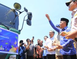 Tembus Pasar Tiongkok, 459 Ton “Durian Volcano” Sulawesi Tengah Resmi Diekspor