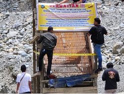 Nyanyian Duka Bumi Parigi Moutong : Kala Aparat Membungkam Deru Tambang Haram