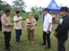 Bupati Parigi Moutong Tinjau Lokasi Sekolah Rakyat di Desa Jonokalora