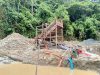 Amuk di Hutan Alo’o: Palagan Hukum Menjerat Pemburu Emas Parigi Moutong