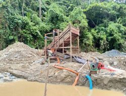 Amuk di Hutan Alo’o: Palagan Hukum Menjerat Pemburu Emas Parigi Moutong