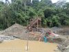 Bara Liar di Hutan Ampibabo: Ketika Alat Berat Kembali Menjarah Kedalaman Tombi