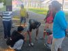 Jejak Kristal dari Kayumalue Terputus di Km 14: Satresnarkoba Polres Parigi Moutong Bekuk Dua Pengedar Sabu 4,79 Gram